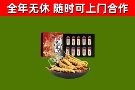 君山烟酒回收冬虫夏草礼盒.jpg