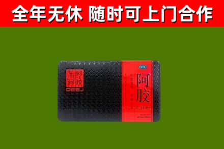 君山回收阿胶